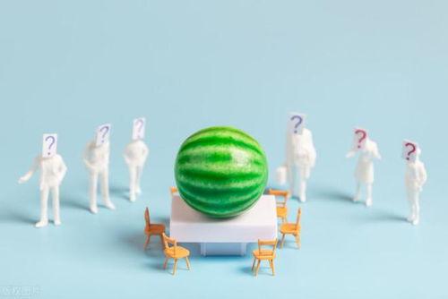 2024吃瓜爆料汇总,娱乐圈风云再起，揭秘幕后真相