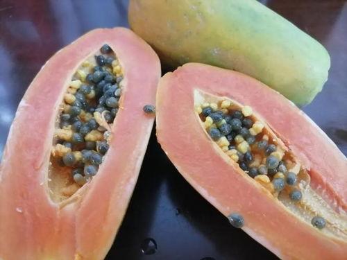 鹤山网红吃瓜,揭秘幕后故事与热门话题